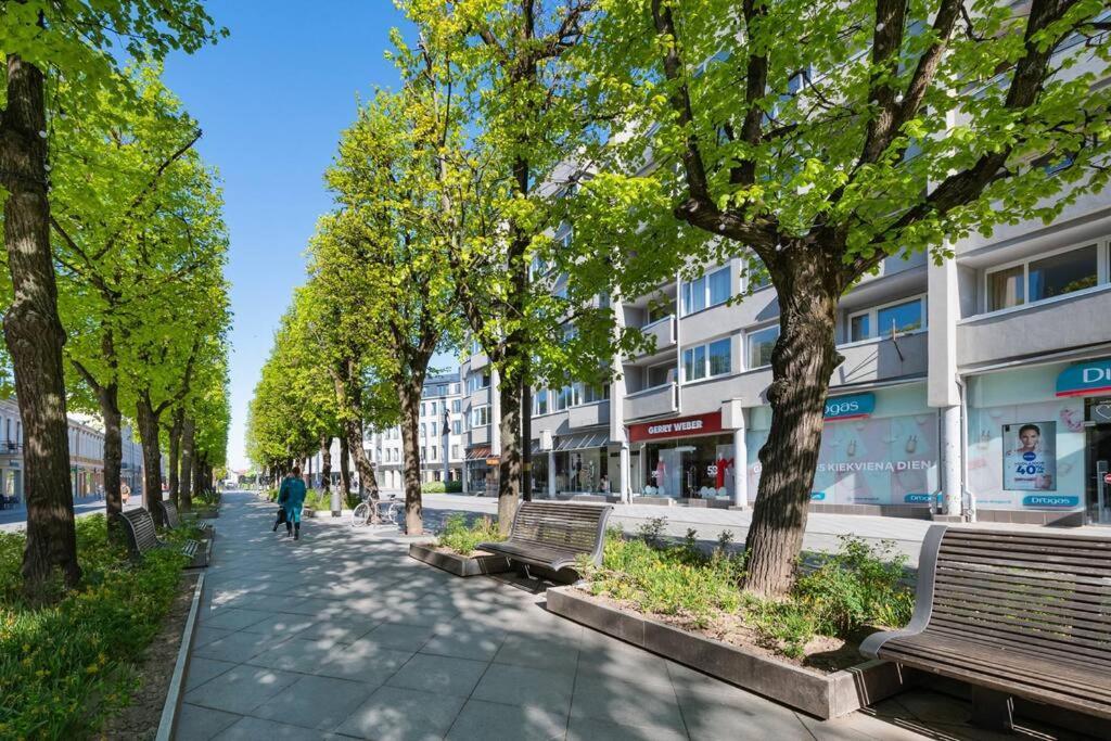 Central 2 Bd Apartment By Hostlovers Kaunas Exterior foto