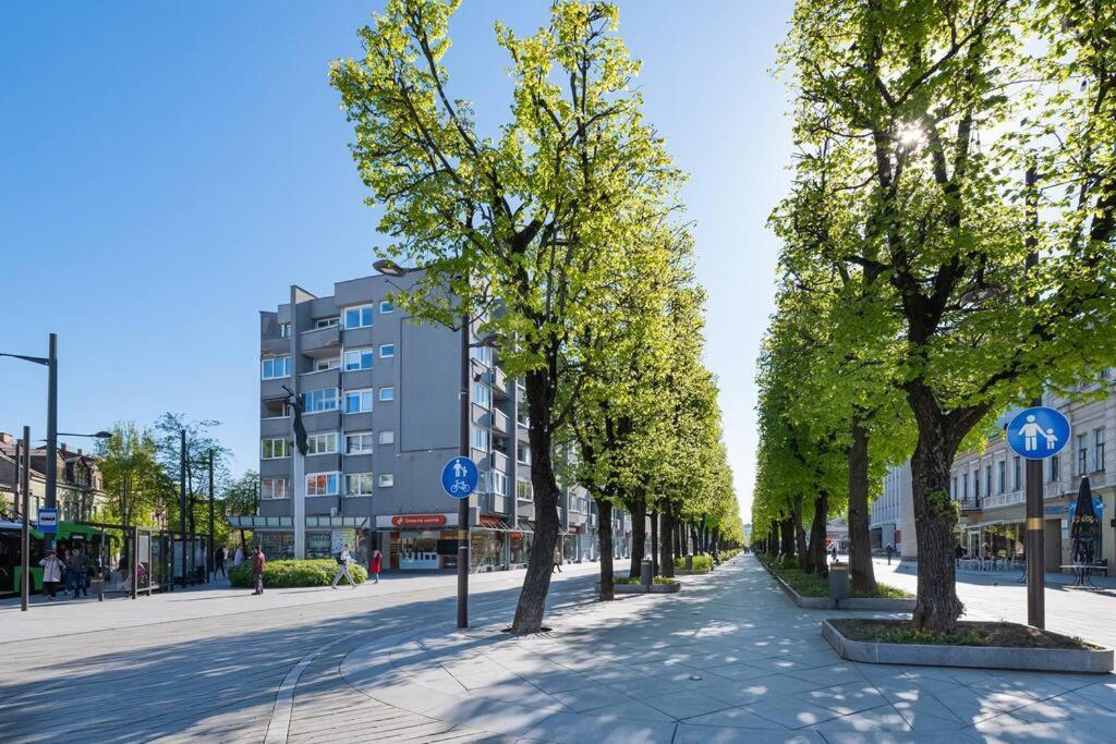 Central 2 Bd Apartment By Hostlovers Kaunas Exterior foto